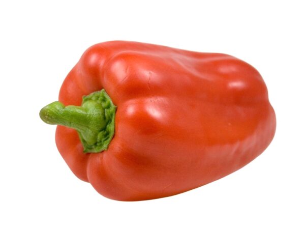 Red Bell Pepper Powder Ground - Image 3